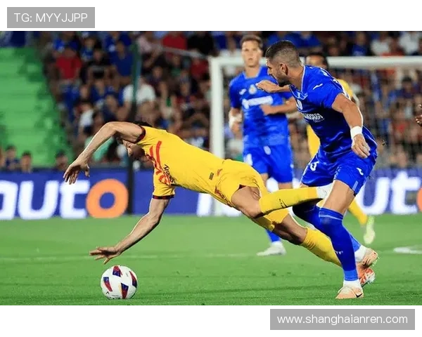 西甲埃尔切引援